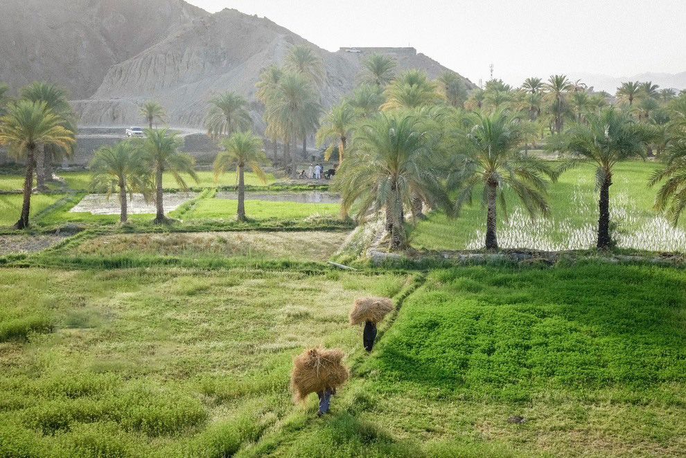 قصرقند؛ بهشت بلوچستان