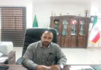 مبارزه با سوسک سرخرطومی نیازمند نگاه ملی مبارزه با سوسک سرخرطومی نیازمند نگاه ملی