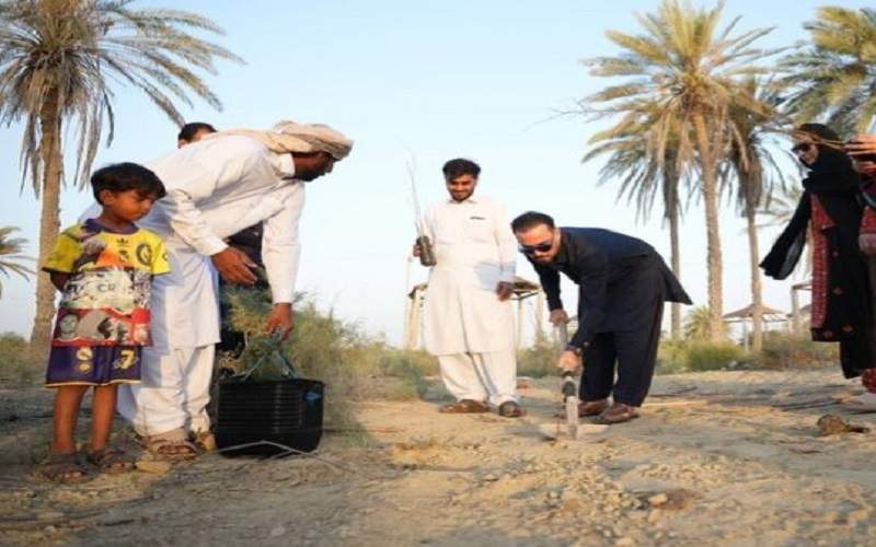 آئین کاشت نهال چِش در روستای گردشگری درک