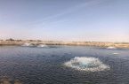اجرای ۱۰۰ طرح آبزی‌پروری در سیستان‌وبلوچستان