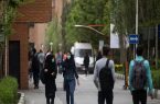 از هر ۱۰ بیکار، ۴ نفر مدرک دانشگاهی دارند