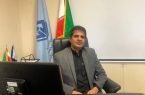 جلبک‌های مکران؛ گنج پنهان اقتصاد دریایی