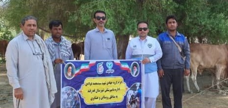خدمت‌رسانی جهادی در تلنگ