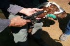 پلاک‌کوبی ۲۲ هزار رأس دام در سیستان‌وبلوچستان